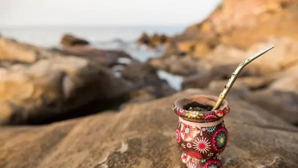 Parkinson: confirman los beneficios del mate