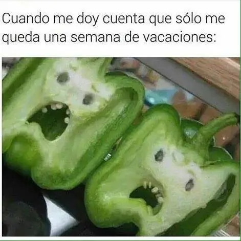 memes