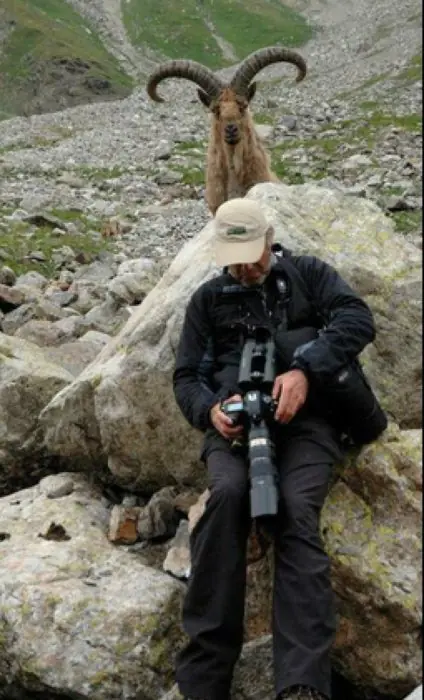 17 Personas y un panda que fallaron de forma espectacular.