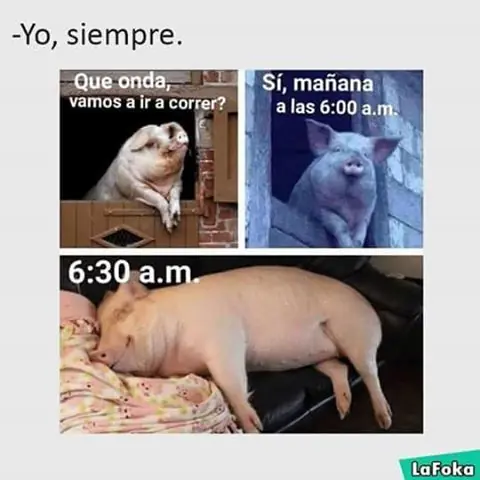 humor nocturno
