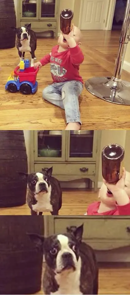 Imagenes de Humor para un sabado por la tarde