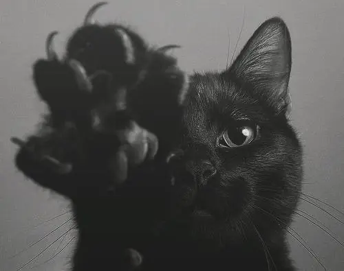 supersticiones