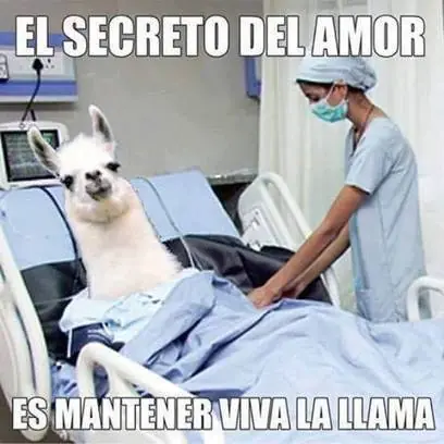 humor