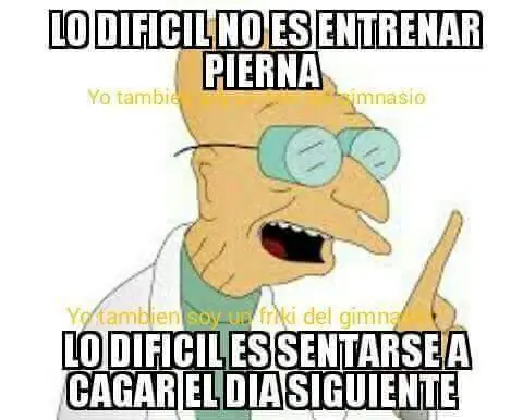 fisicoculturistas