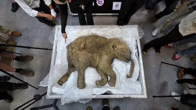 Gracias al derretimiento de los glaciares, descubren esto