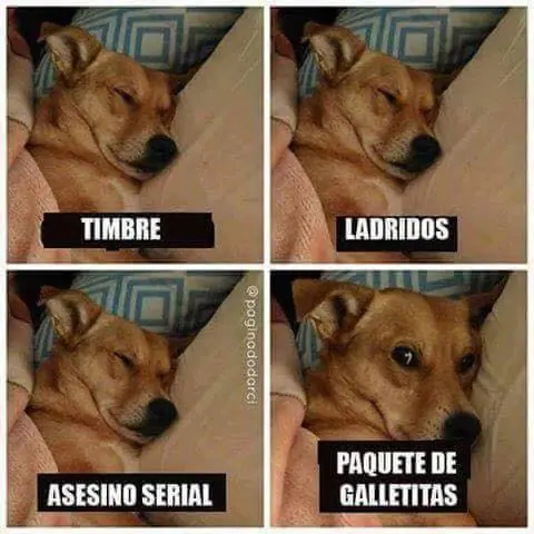 imagenes