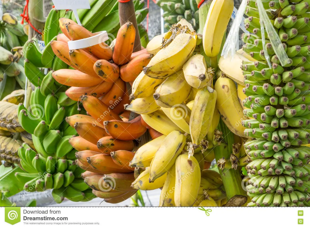 banana banana