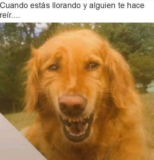 imagenes para facebook