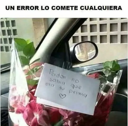 fotografias