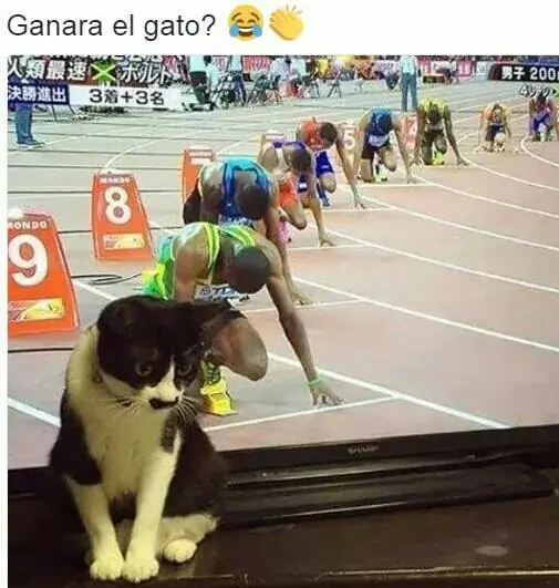 imagenes