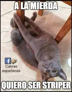 humor mananero