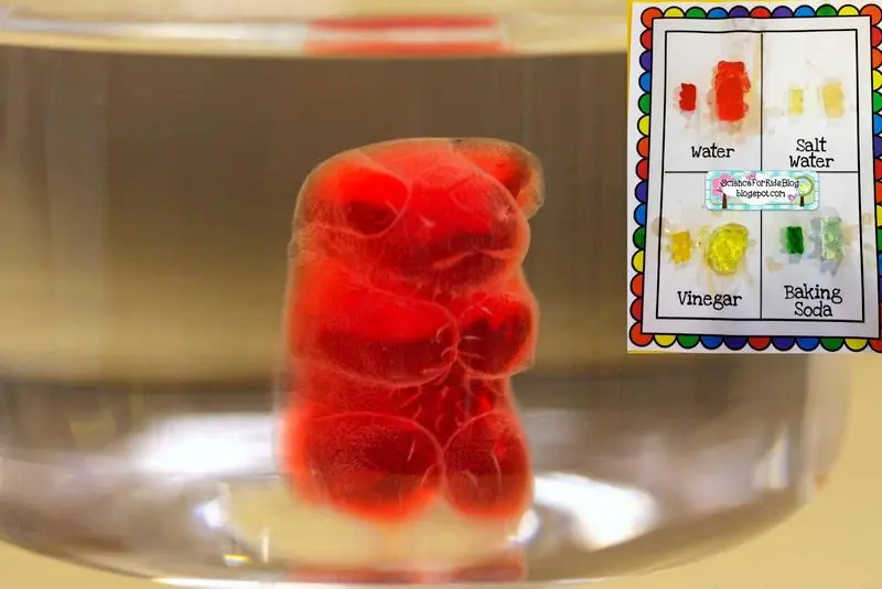 10 Experimentos Increibles (con explicación)