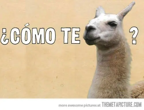 imagenes de humor