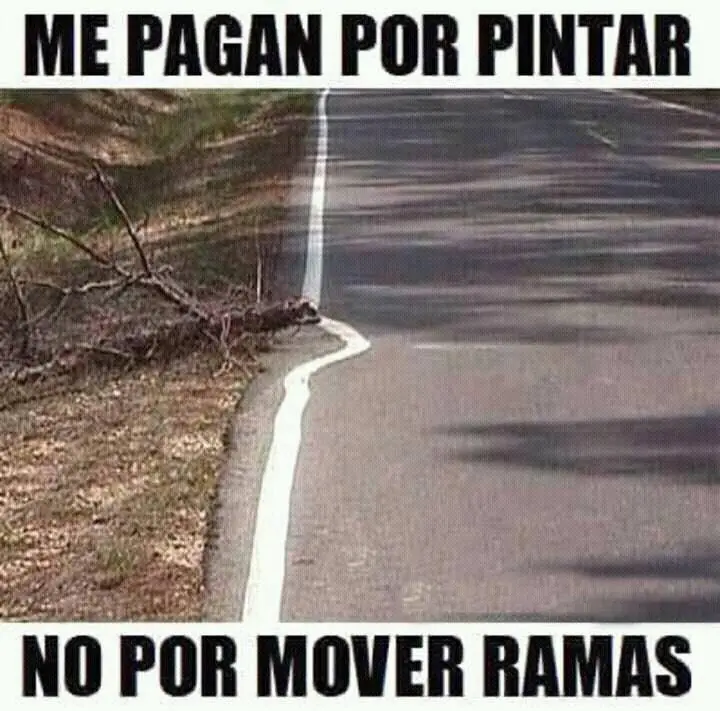 memes