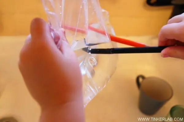 experimenntos