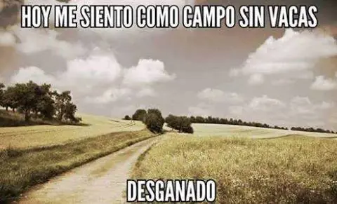 humor