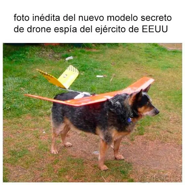 rufian