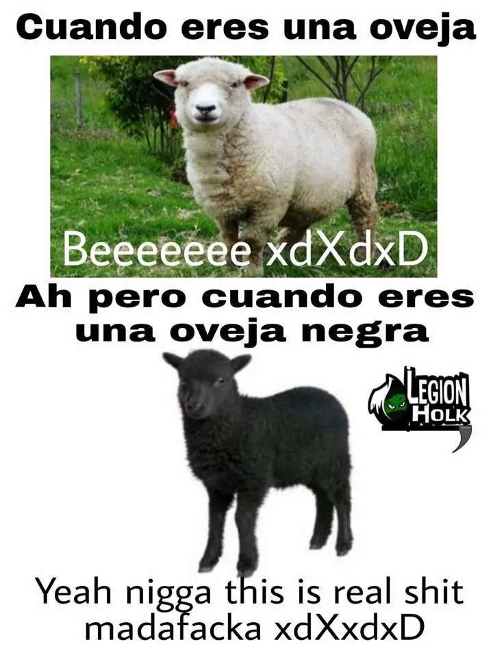Humor de tarde (DE TODO) [^pasa lince]