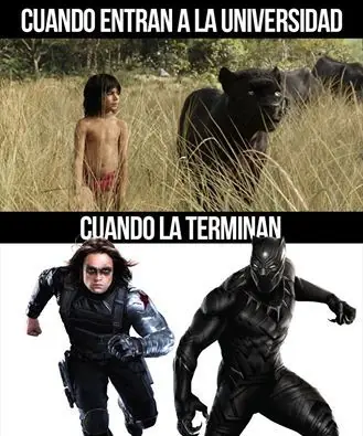 humor para desvelados