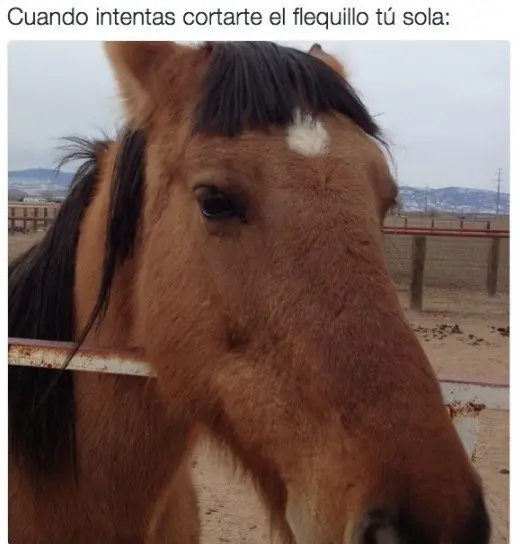 imagenes