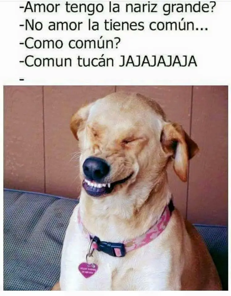imagenes