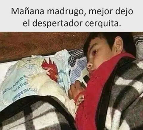 humor nocturno
