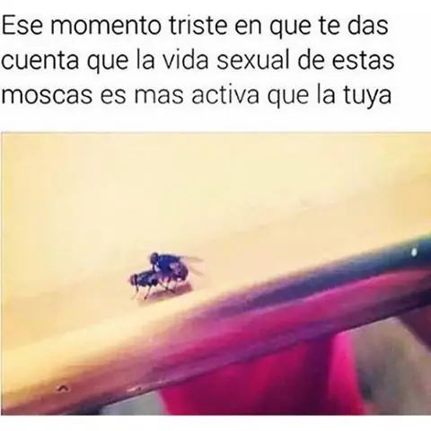 Imágenes de humor nocturno Parte-12