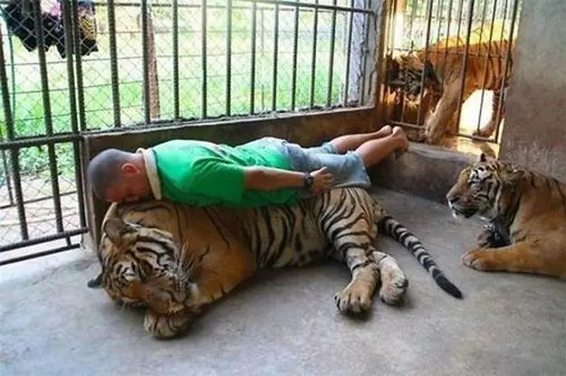 que existen