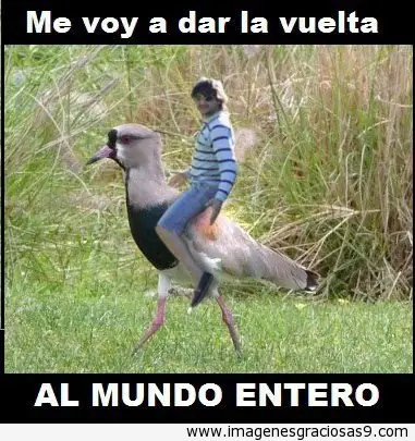 cosas