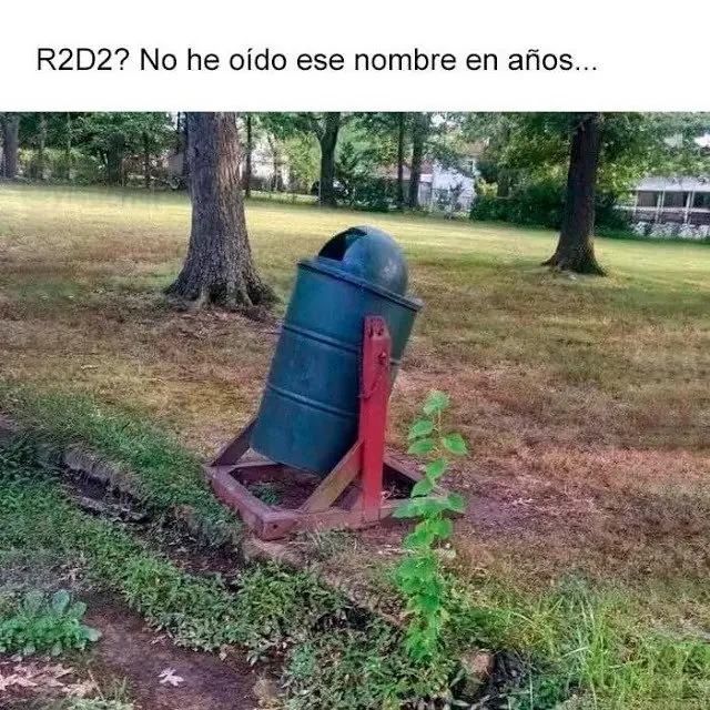 imagenes