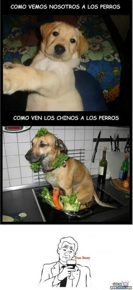 Imagenes de Humor Maquinolas