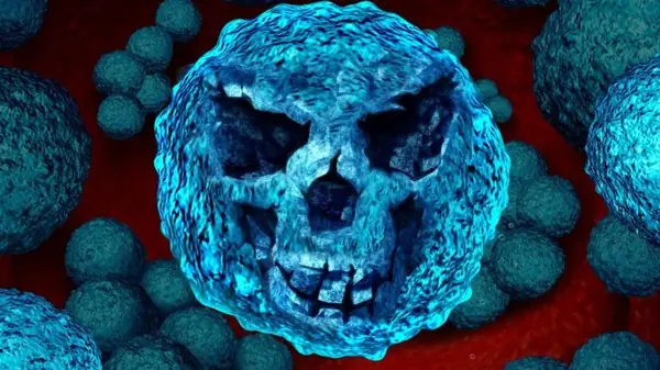 Bacterias
