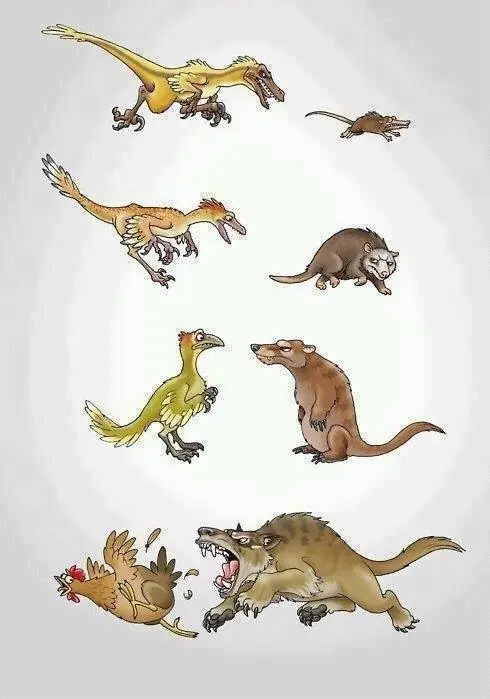 Humor Grafico