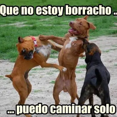 humor