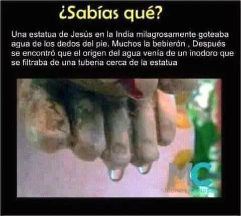 linces