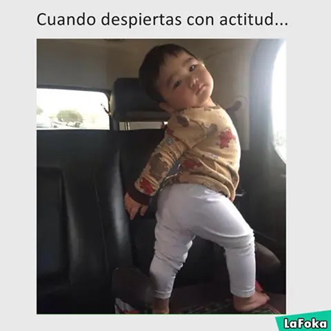 humor para desvelados