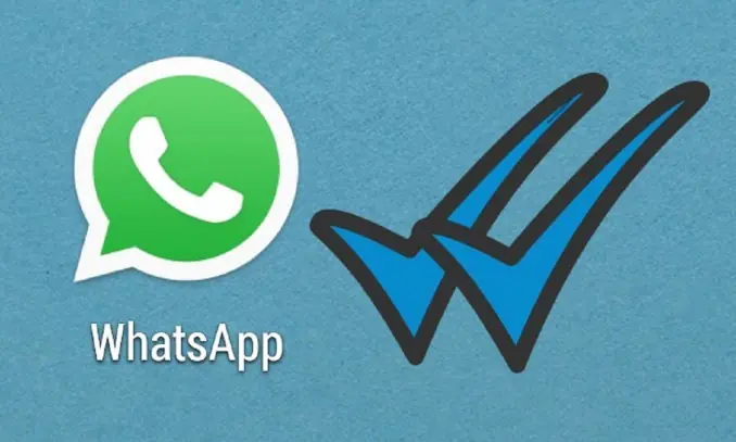 Ya no safas mas con Whatsapp!!
