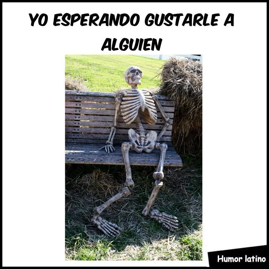 humor para desvelados