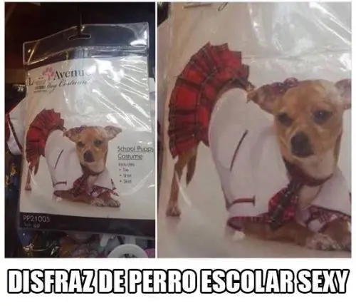 Imagenes de humor