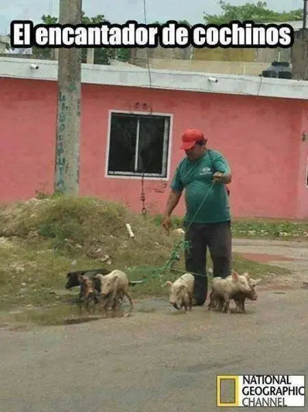 ¿Viernes aburrido? Ríe con este Humor Grafico