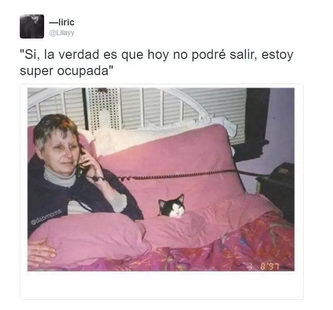fotografias