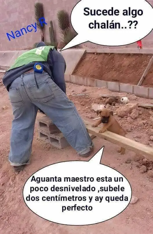 Humor Madruguero de Lunes