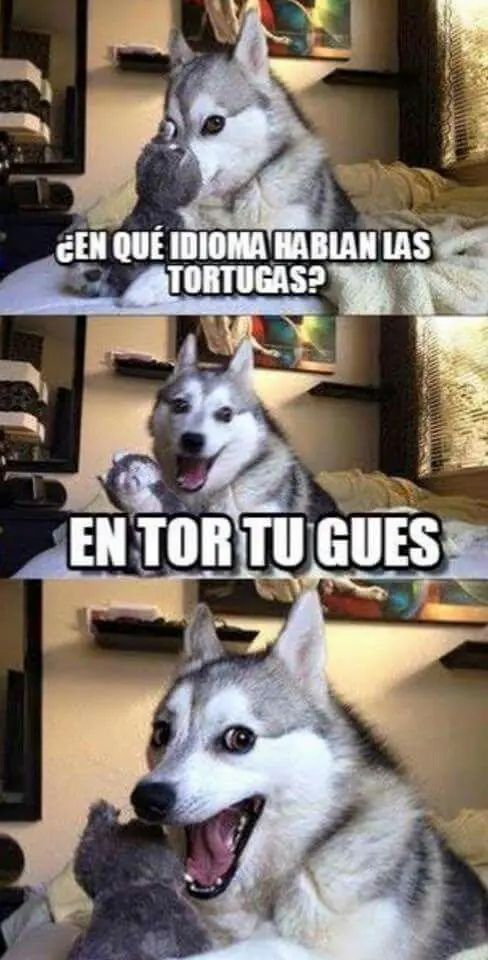 rufian