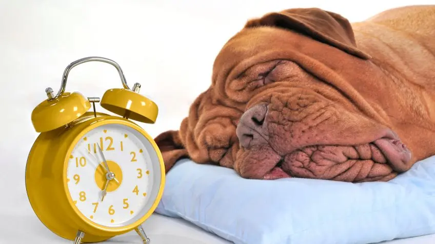 dormir