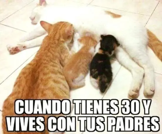 pasa y riete