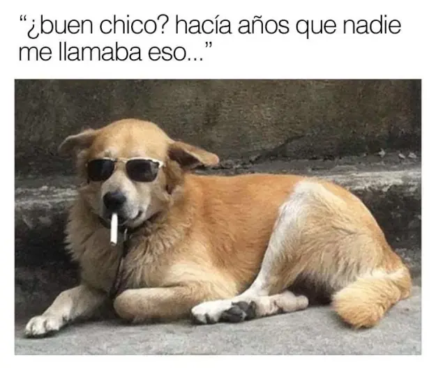 23 Verdades graciosas que nadie puede negar que son ciertas