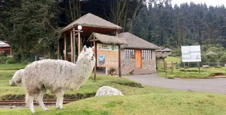 17 lugares mágicos para acampar en Ecuador