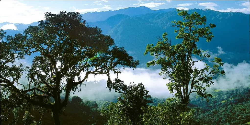 lugares