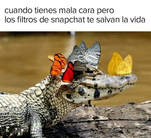 Verdad
