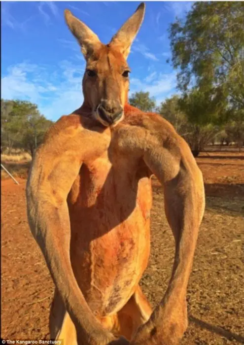 australia
